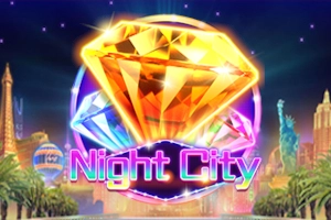 05110 night city